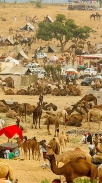 Short video poster image