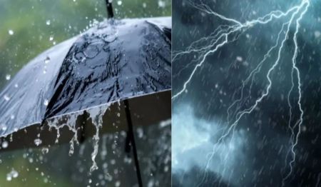 CG Weather Update: हल्की बारिश से तीन डिग्री गिरा तापमान(photo-patrika)