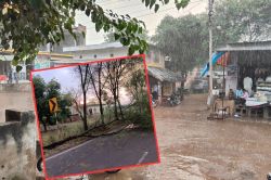 Rajasthan Rain: राजस्थान में यहां तूफानी बारिश के साथ गिरे ओले, कई जगह पेड़-खंभे
धराशायी - image