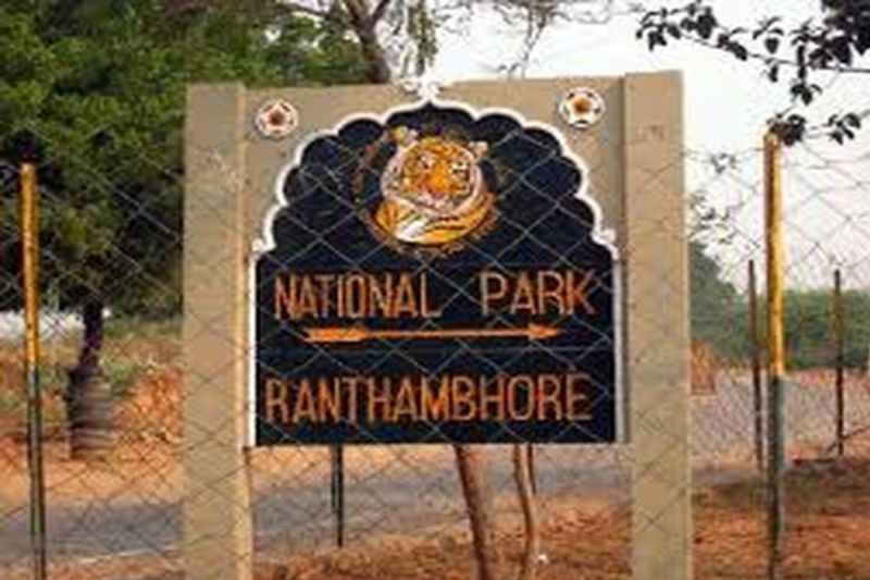Ranthambore National Park