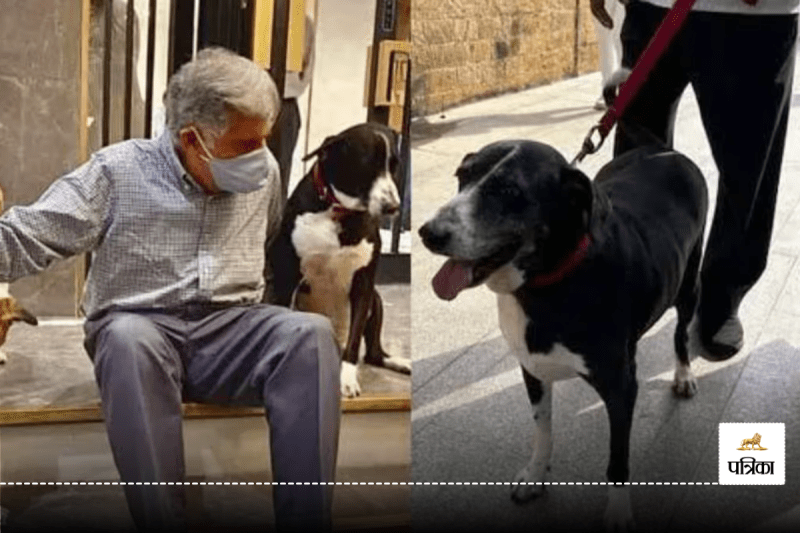Ratan Tata With His Dog