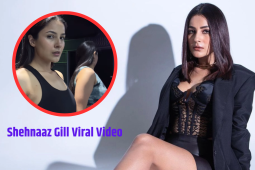 Shehnaaz Gill Viral Video