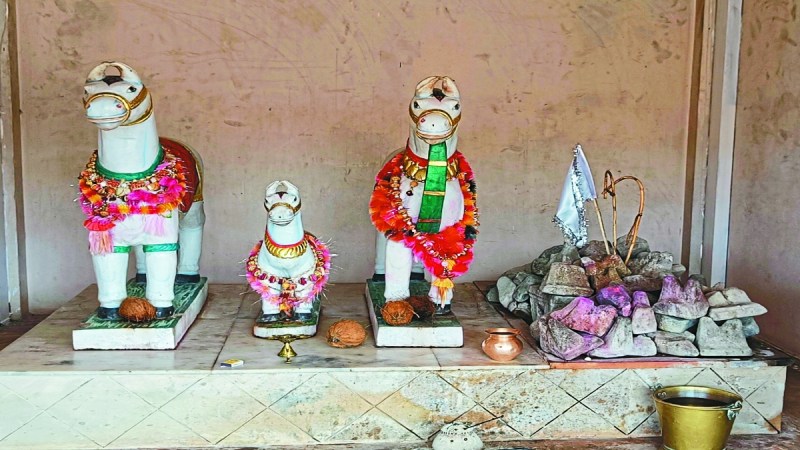 दिवाली का पर्व एक नवंबर को मनाया जाएगा। वहीं जिले की सीमा से एक किमी दूर धमतरी जिले के ग्राम सेमरा (सी) गांव में दिवाली 24 अक्टूबर को मनाई जाएगी। गांव में यह परंपरा अभी की नहीं बल्कि वर्षों से चली आ रही है।