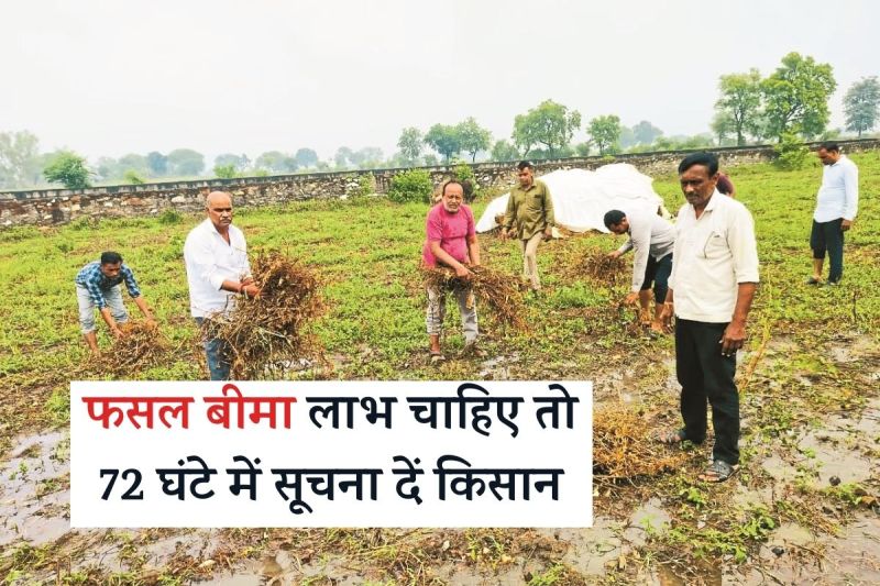 Rajasthan Banswara Excessive Rainfall Tribal Farmers Cry 90 Percent of Soybean Crop Wasted
