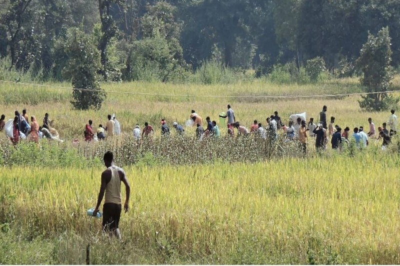 Stick attack in land dispute