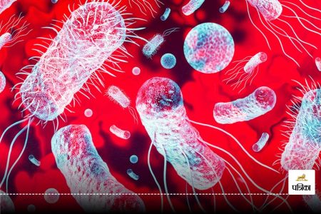A common antibiotic that helped create an incurable superbug has been identified