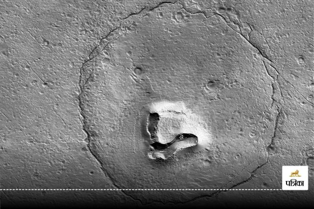 Teddy Bear on Mars