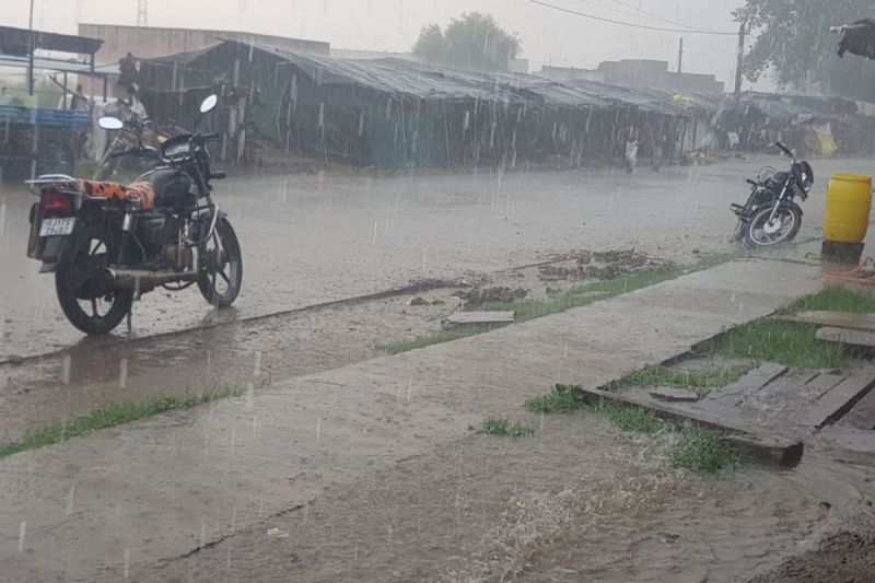 Rain in rajasthan