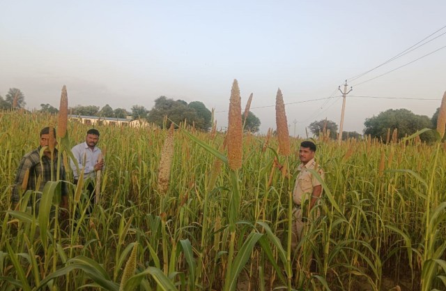 जयपुर जिले की बात की जाए तो 800 से अधिक इकाई खोली जाएगी। किसान इसके लिए ऑनलाइन आवेदन कर सकते हैं।