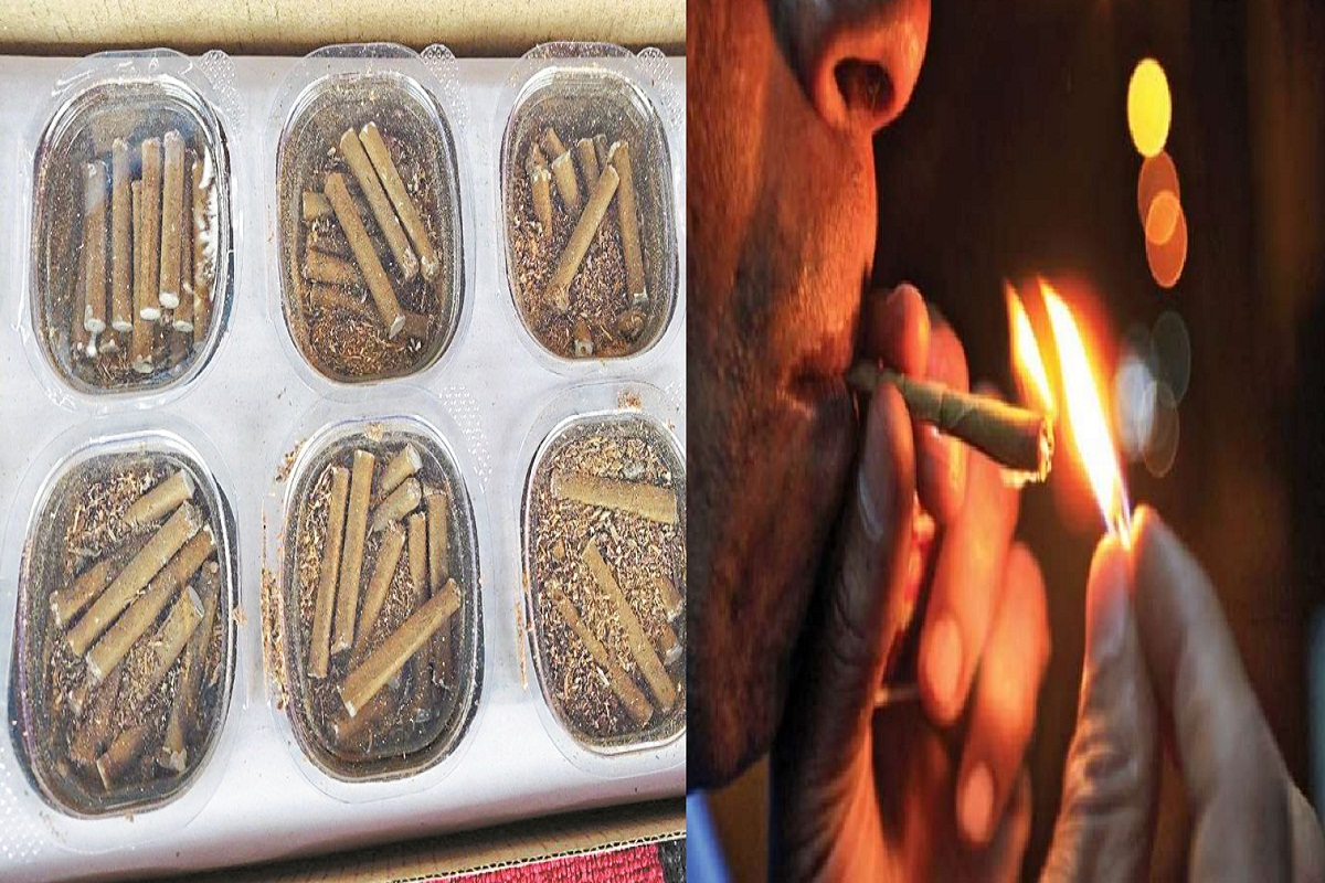 Diwali 2024: इस दिवाली फूटेंगे बीड़ी बम, भूलकर भी फूंक मत लेना, नहीं तो….