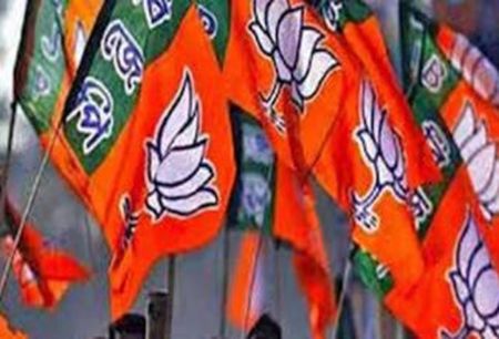 CG News, BJP Flag