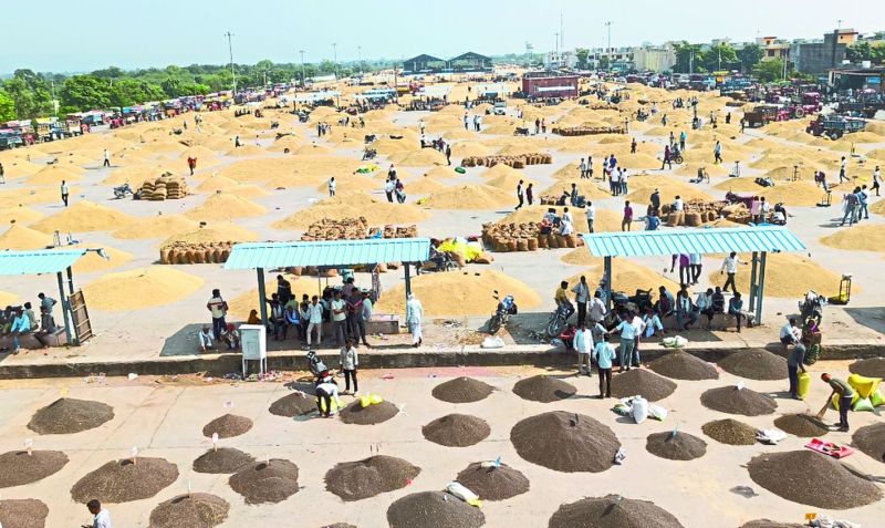 मंडी में बढ़ी धान की आवक, फैली अव्यवस्था