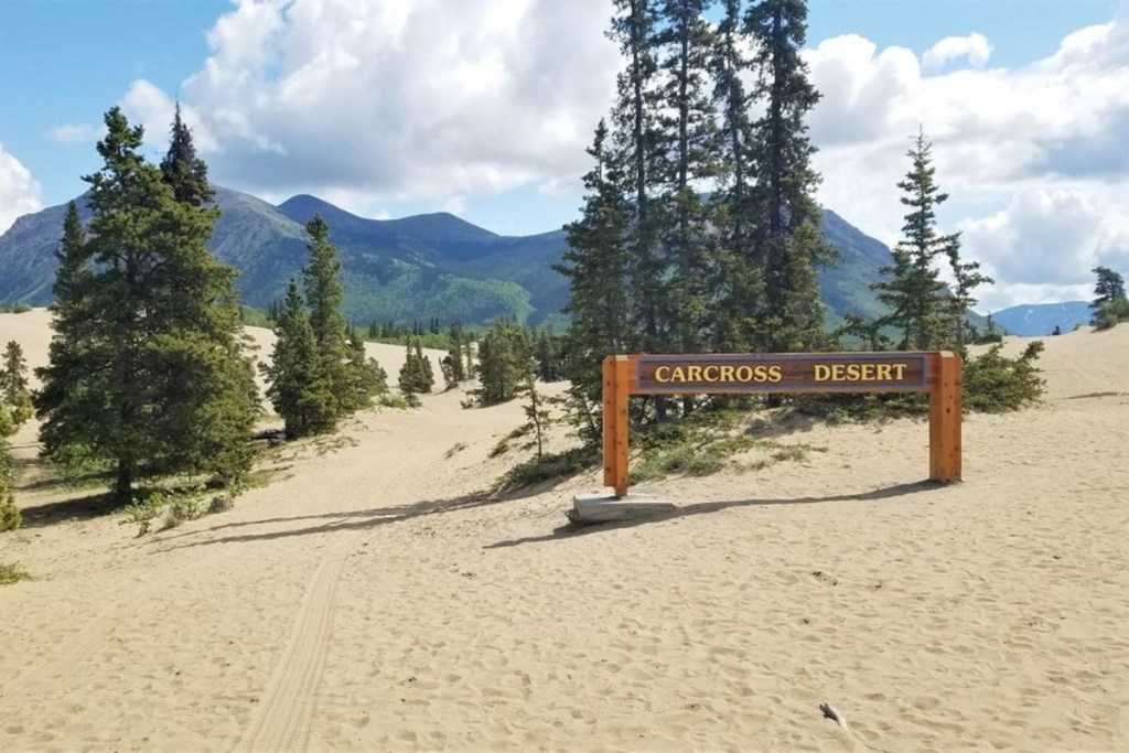 Carcross Desert