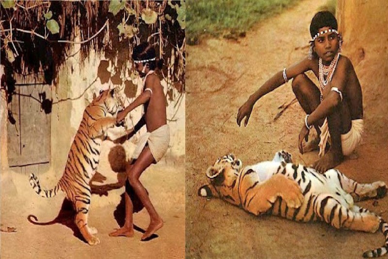 Chendru The Tiger Boy
