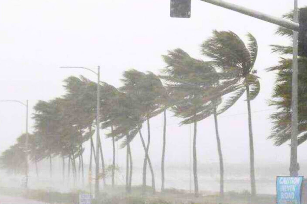 Cyclone Fengal: चक्रवाती तूफान फेंजल CG के 13 जिलों में कराएगा बारिश, अगले 4 दिनों के लिए अलर्ट