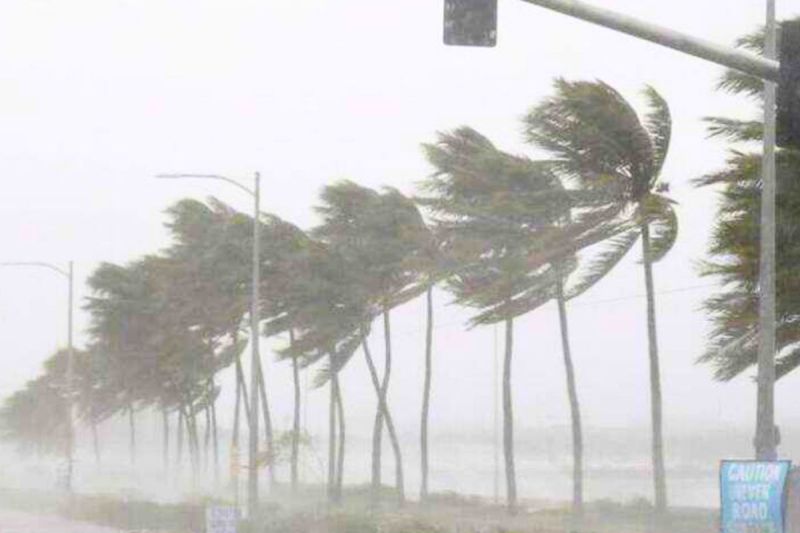 Cyclone Fengal effect in chhattisgarh