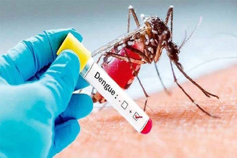 Dengue Patients
