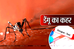 Dengue Hovac : तेजी से फेल रहा डेंगू का कहर, 17 नए डेंगू पॉजीटिव मिले, इनमें 70%
बच्चे - image