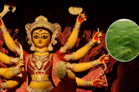 Navratri me jau kyon boya jata hai