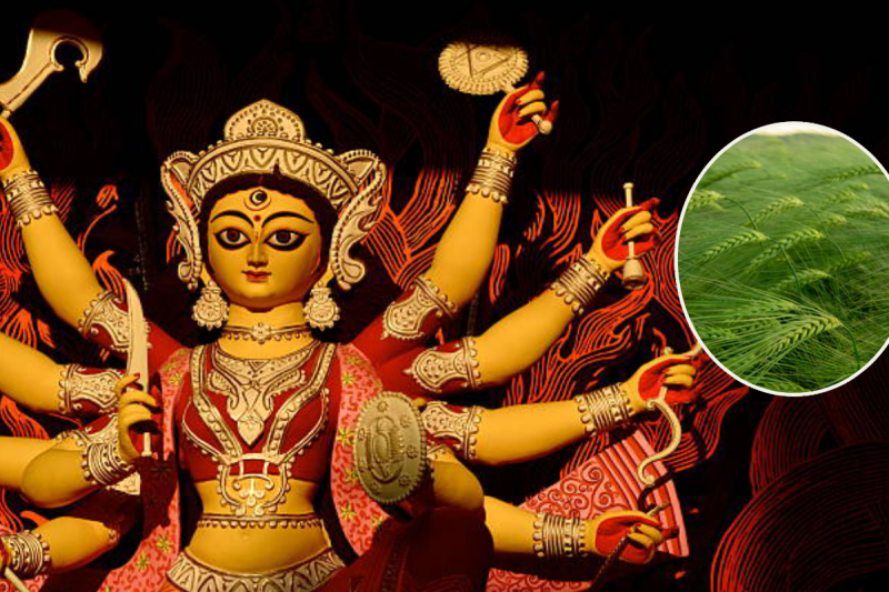 Navratri me jau kyon boya jata hai