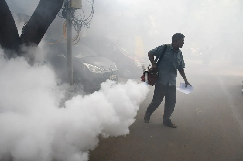 fogging for dengue