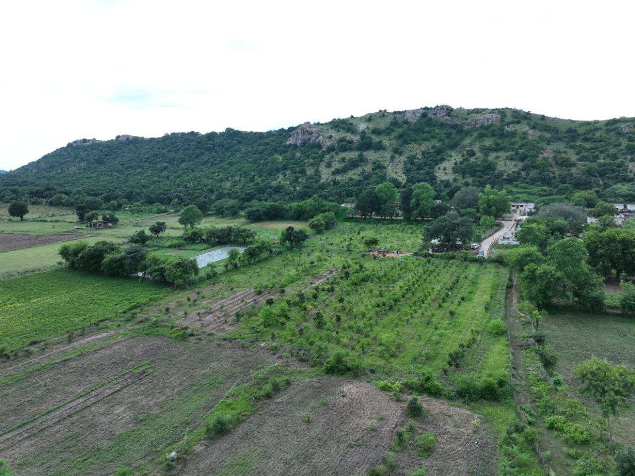 महिलाओं के समूह ने बदल दी बंजर जमीन की तस्वीर, रोजगार मिला, अब सम्मान भी मिल रहा