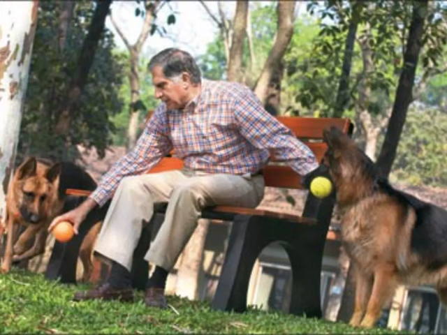 Ratan Tata Will Pet Dog Tito