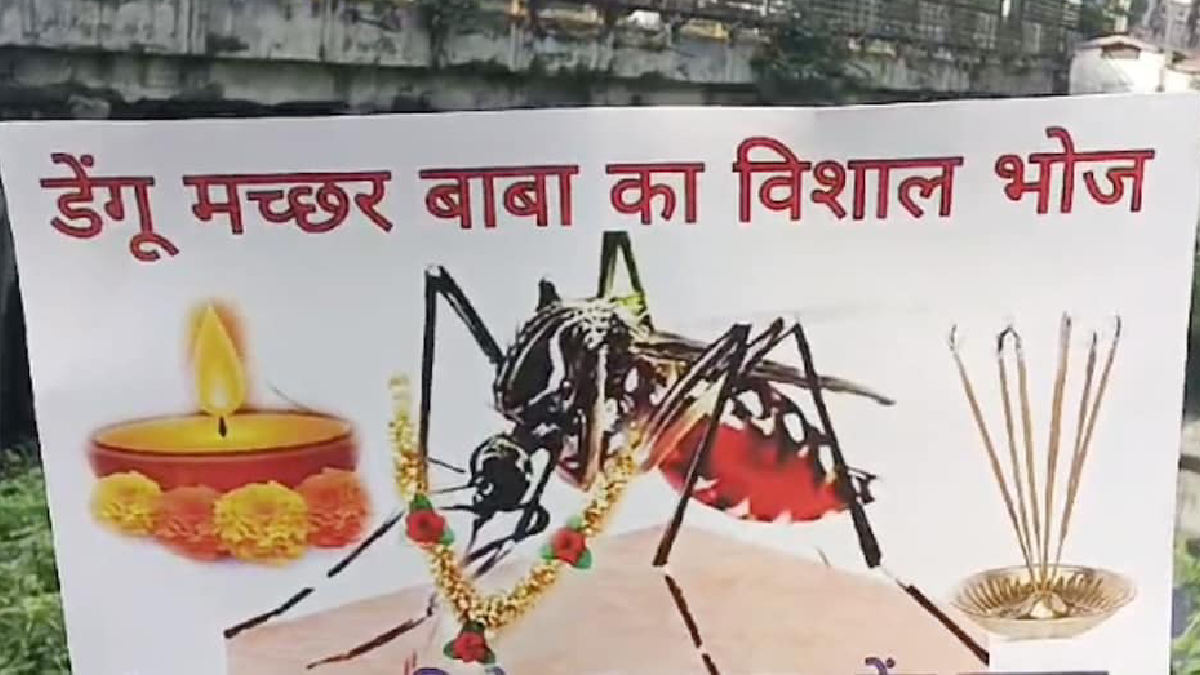 Dengue Cases