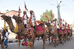 Marwar Mahotsav 2024: पहले सूर्य आराधना, फिर नृत्य की धमक, VIDEO में देखें
मारवाड़ फेस्टिवल के अनोखे रंग - image