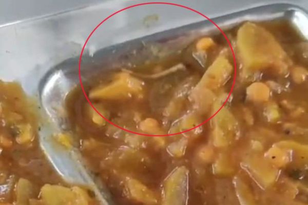 lizard tail in food