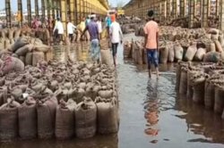 Kota Mandi Bhav : धान तेज, लहसुन मंदा, खादय तेलों में स्थिरता - image