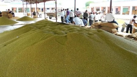 Kamal Nath's big allegation of not sending proposal for moong purchase