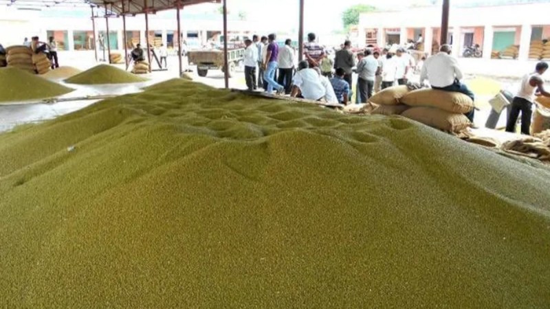 Kamal Nath's big allegation of not sending proposal for moong purchase