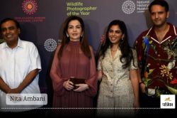 Nita Ambani: कैसे नीता अंबानी ने 4 लाख की ड्रेस में बिखेरा जादू…जानिए Chloe की
इस महंगी ड्रेस में क्या है खास - image