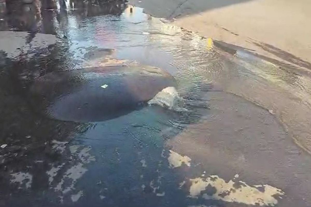 Pipeline burst in Raipur: रायपुर में फूटा पाइप लाइन, कल इन इलाकों में नहीं होगी पानी की सप्लाई, देखे वीडियो