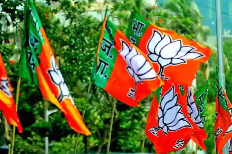 brij bihari pateriya