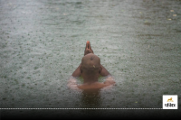 Sarva Pitru Amavasya Katha