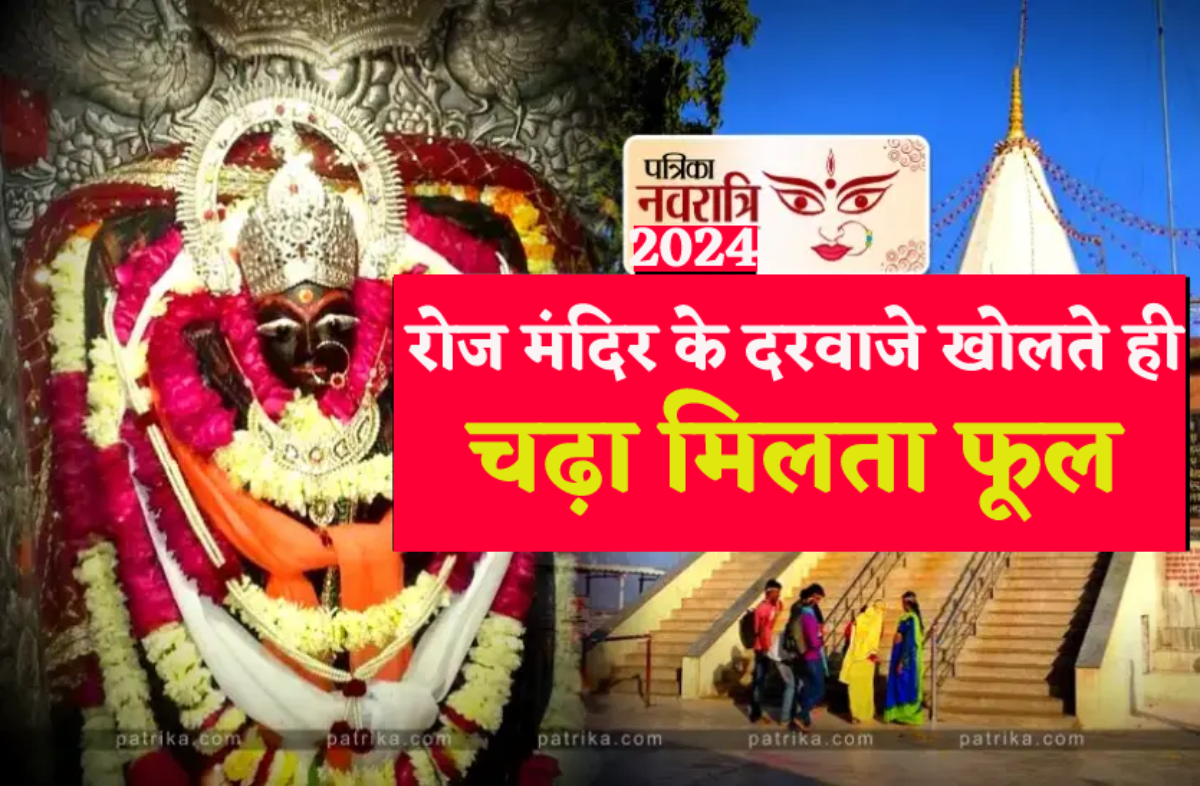 3.50 lakh devotees reached Maihar's Sharda Mata temple for darshan