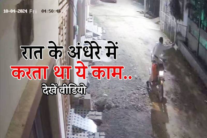 Snake Catcher Business