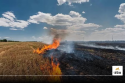 Farmers Burning Stubble Face FIR, Will Be Stopped from Selling Produce