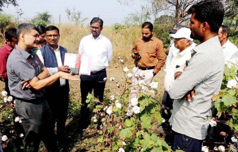 Cotton, Agriculture, Agriculture Department,