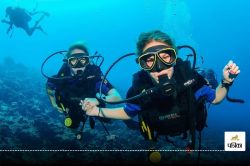  Scuba Diving: स्कूबा डाइवर्स को मिली सफलता, सत्तर साल पहले लापता हुआ समुद्री
जीव लौटा - image