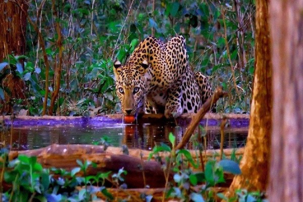 Chhattisgarh Tourism