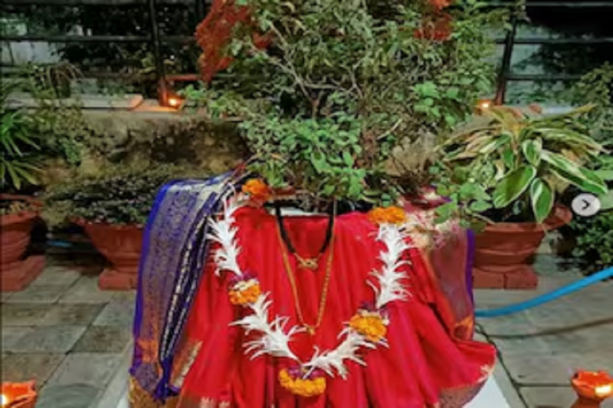 Tulsi Vivah 2024: तुलसी विवाह के दिन देवी को चढ़ाएं ये खास चीजें, जागेगा सोया
हुआ भाग्य