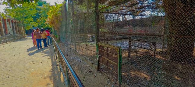 Jaipur zoo in Ramniwas baag
