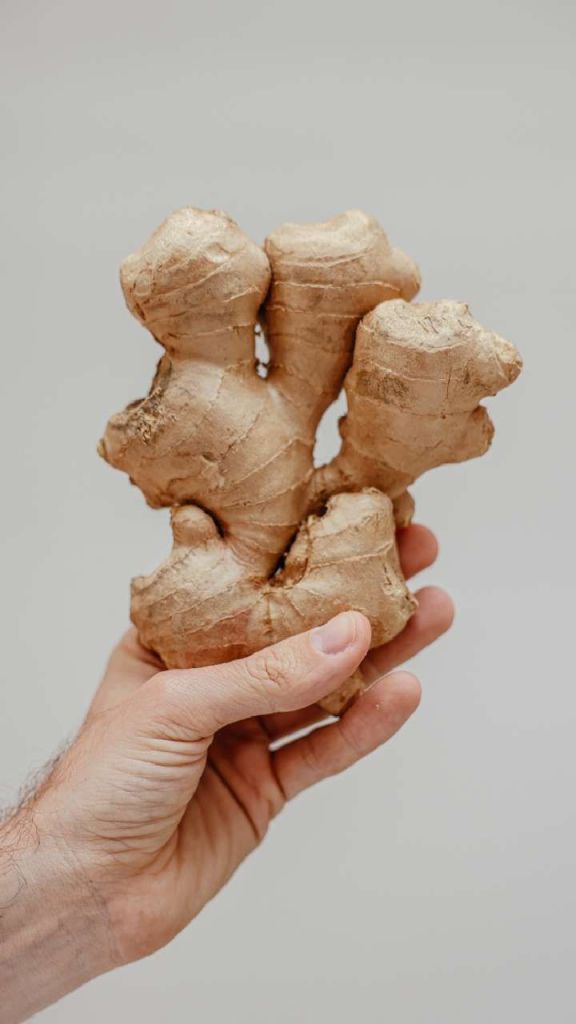 Ginger Water Benefits