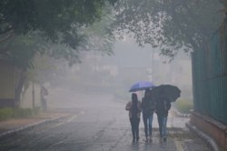 Rain alert: सुबह कोहरे की चादर के बीच कुछ जिलों में हल्की बारिश, IMD latest
update - image