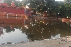 chhath puja 2024: गोंडा के इस चमत्कारिक स्थान पर धूमधाम से मनाया जाता छठ का पर्व
जुटती हजारों की भीड़ - image