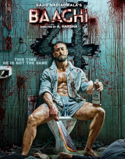 Baaghi 4 Release Date