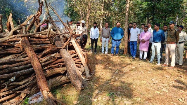 मृत बाघ के दाह संस्कार पर मौजूद अधिकारी, जनप्रतिनिधि,कर्मी।